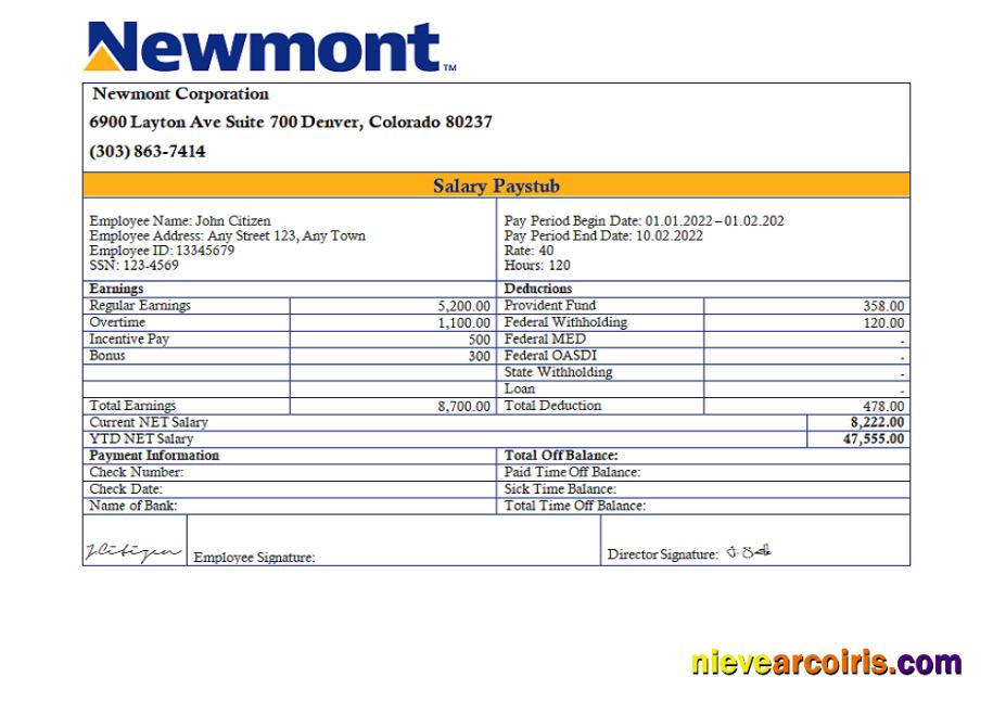 USA Newmont Corporation mining company pay stub